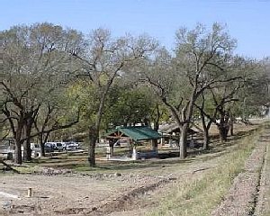 View of picnic arbors among existing trees