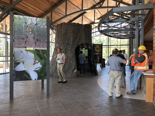 View of the exhibit display that features local flora and fauna