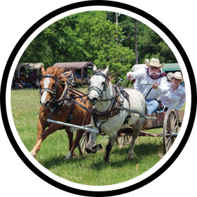 Access to 1836 Chuckwagon Races