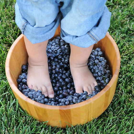 Feet stomping grapes in a barrel